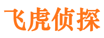 嘉定外遇调查取证